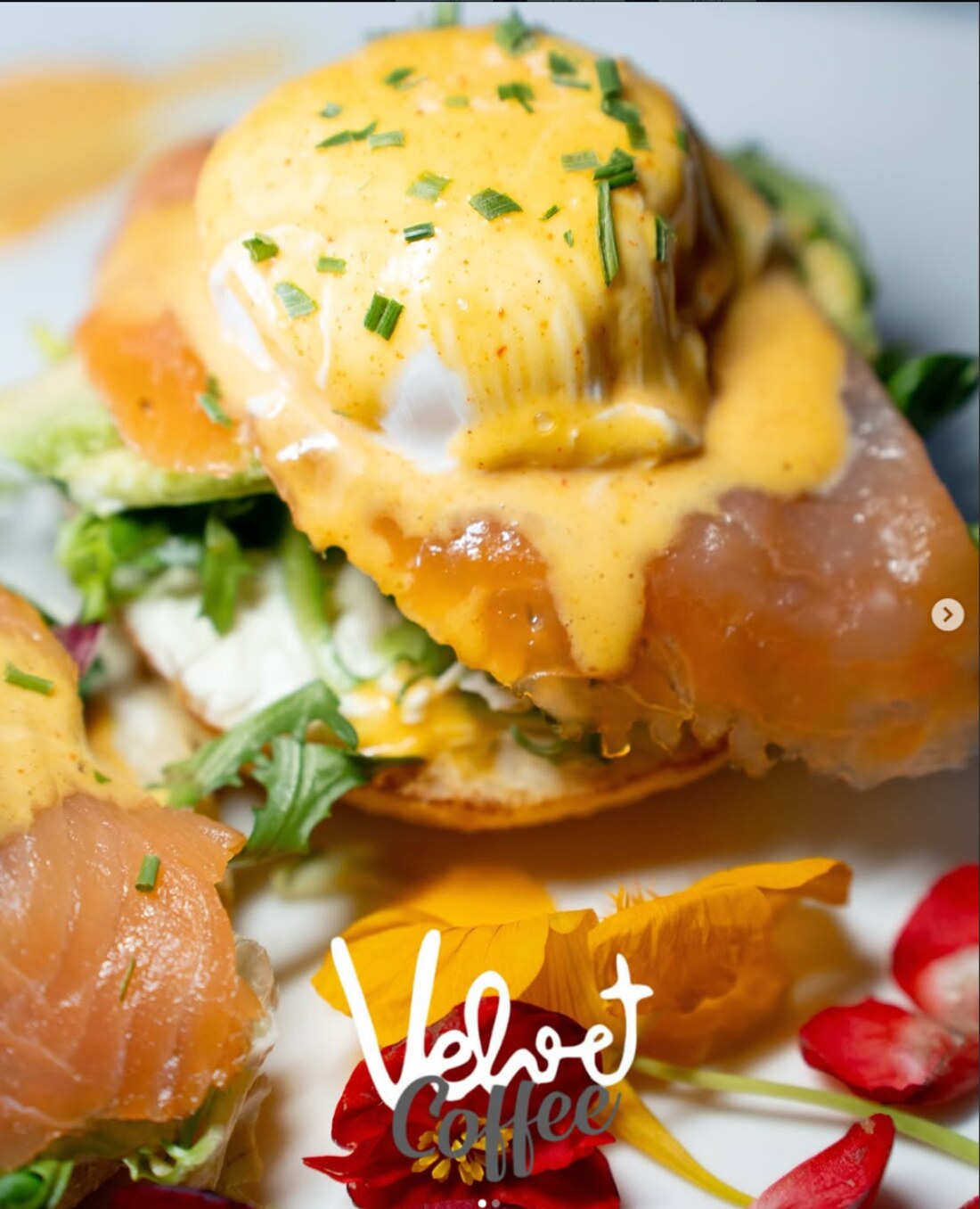 Œufs bénédicte, saumon fumé et sauce hollandaise